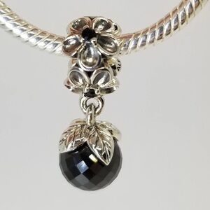 Pandora, Sterling Silver Garden Odyssey charm